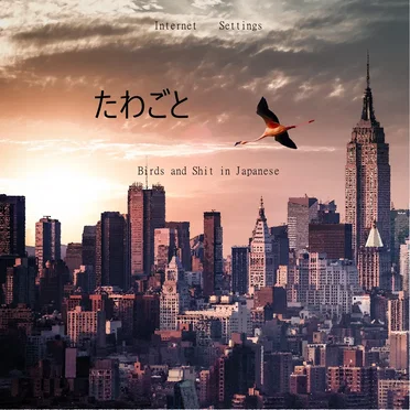 Birds and Shit in Japanese by Internet Settings - album cover