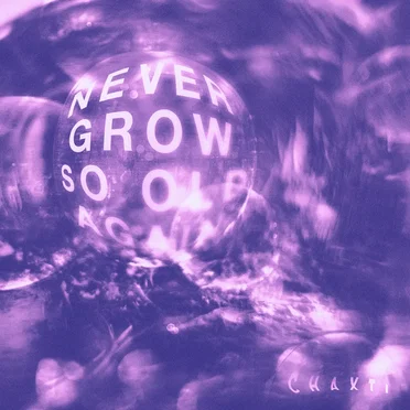 Never Grow So Old Again