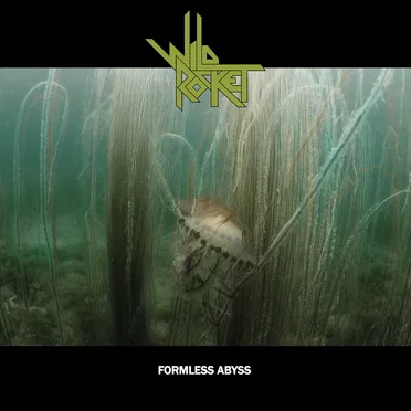 Formless Abyss by Wild Rocket - album cover