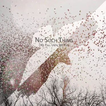 We Fall Until We Fly by No Such Thing - album cover