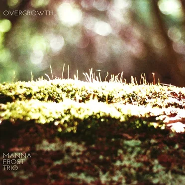 Overgrowth by Manna Frost Trio - album cover