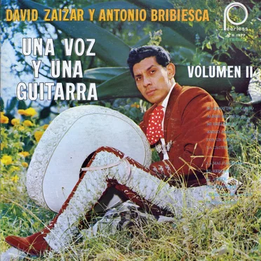 Una voz y una guitarra, vol. 2