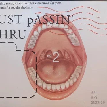 WHFS Just Passin' Thru 2 by WHFS - album cover