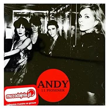 11 Piosenek by Andy - album cover