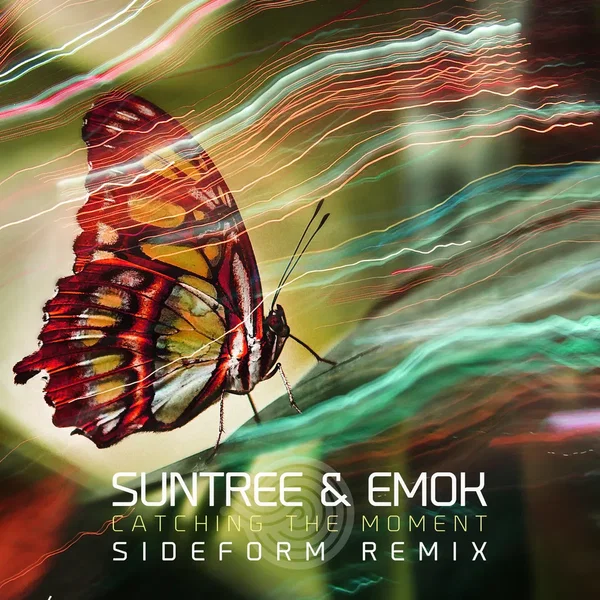 Catching the Moment (Sideform remix)