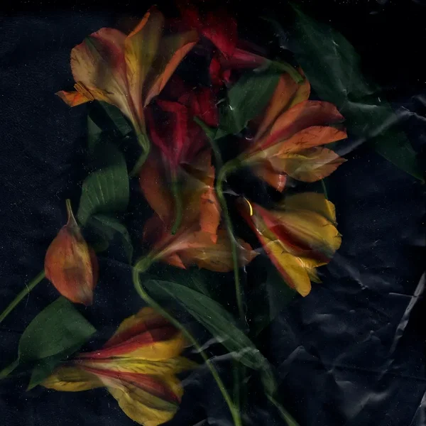 Another Fact: Remixes