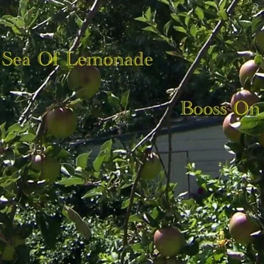 Booss On by Sea Of Lemonade - album cover