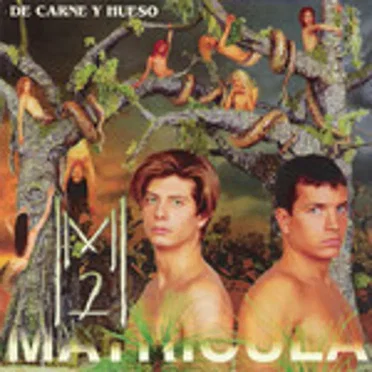 Matrícula 2
