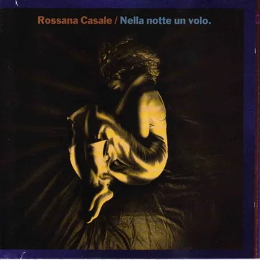 Nella notte un volo