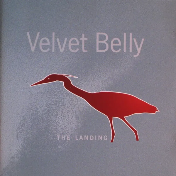 The Landing