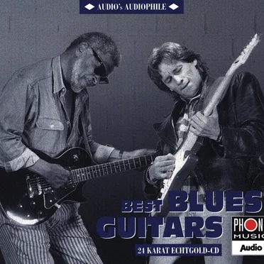 Audio’s Audiophile, Volume 6: Best Blues Guitars by Various Artists - album cover