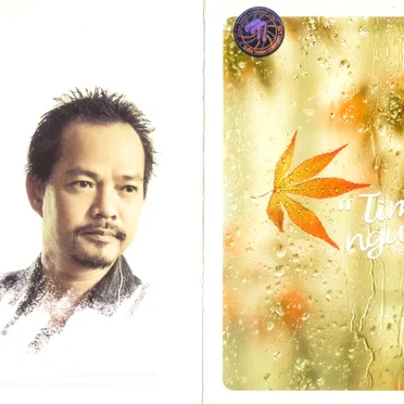 Tìm lại người xưa (Tình khúc Phạm Anh Cường) by Various Artists - album cover