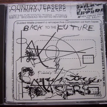 Back to the Future by Country Teasers - album cover