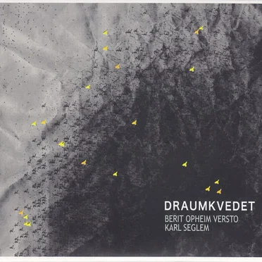 Draumkvedet