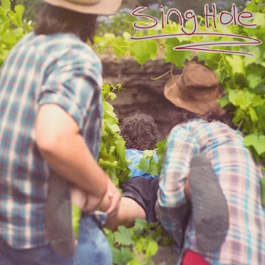 Sing Hole by The High Beamers - album cover
