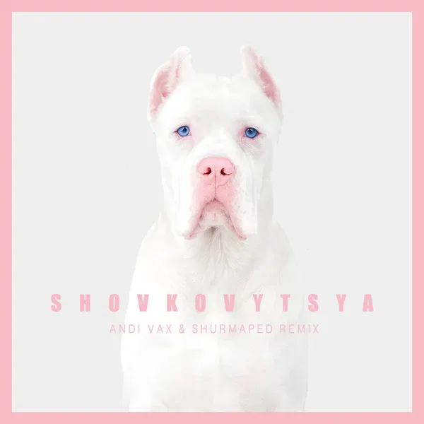 Shovkovytsya (Andi Vax & Shurmaped Remix)