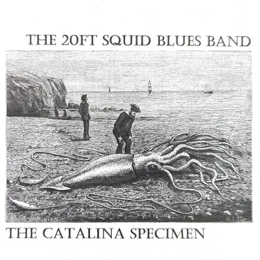 The Catalina Specimen