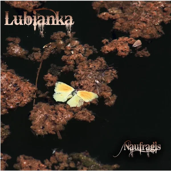 Naufragis