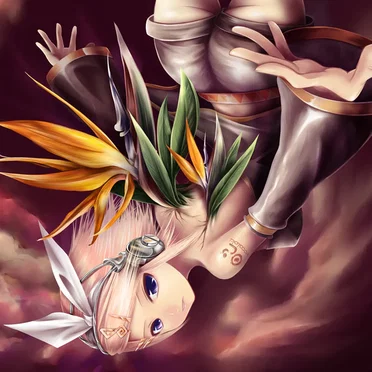 極楽鳥 -bird of paradise-