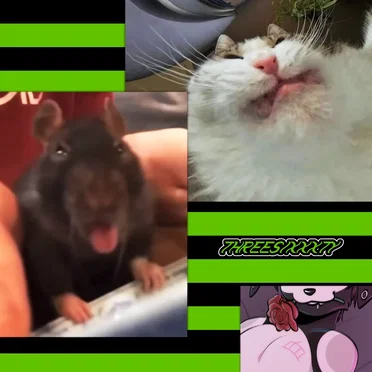 THREESIXXXTY