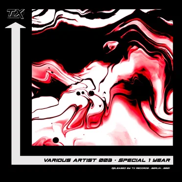 Special 1 Year by Various Artists - album cover