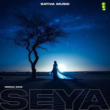Seya (Sped Up) by GIMS - album cover