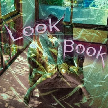 Look Book by Oggy - album cover