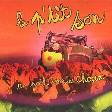 Un poil dans les choux