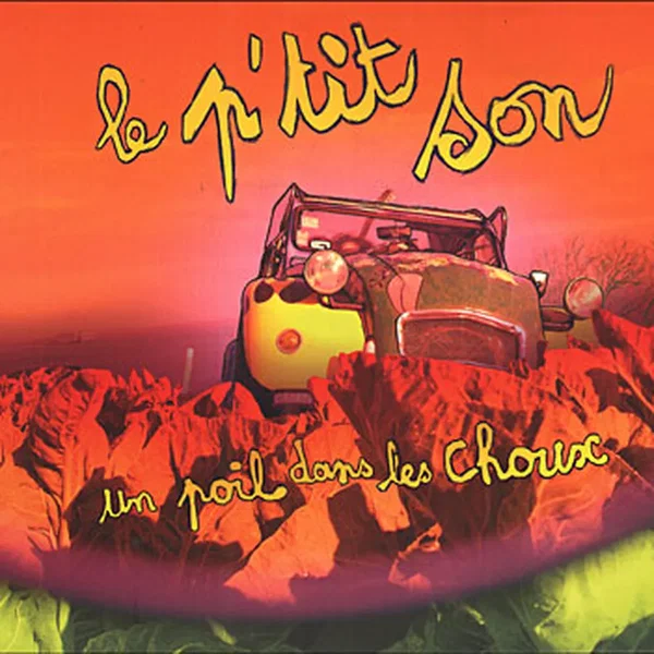 Un poil dans les choux