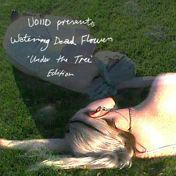 Watering Dead Flowers