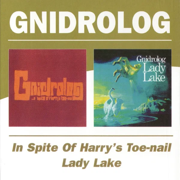 In Spite of Harry's Toe-nail / Lady Lake