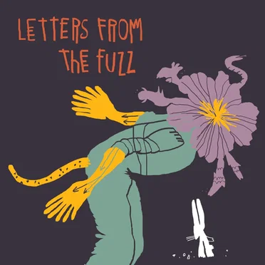 Live: Letters From The Fuzz by Letters From - album cover