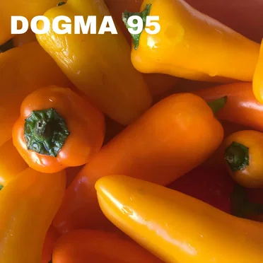 come by dogma 95 - album cover