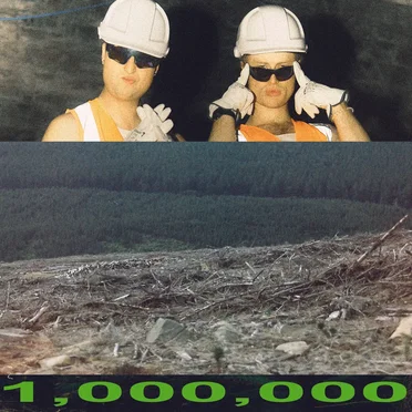 1 MILLION PINES