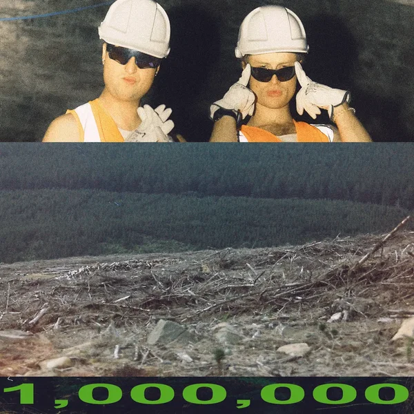 1 MILLION PINES