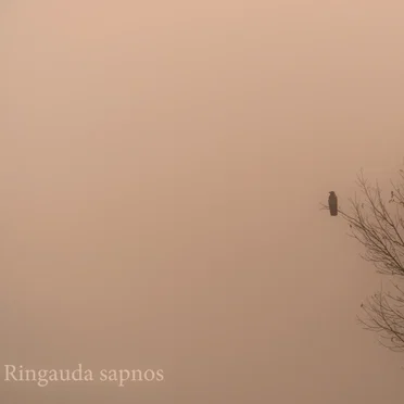 Ringauda sapnos