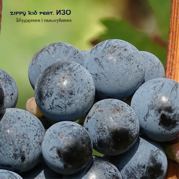 Збудження І Гальмування