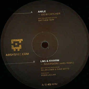 View Catcher / Inversion (Naibu remix)