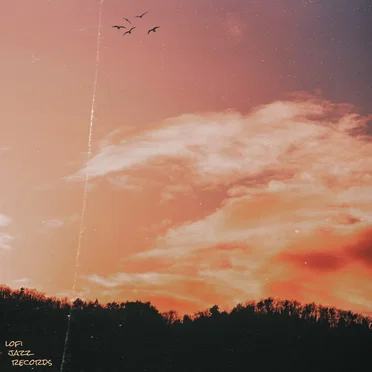 An Afternoon With You