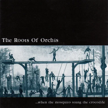 When the Mosquito Stung the Crocodile by The Roots of Orchis - album cover