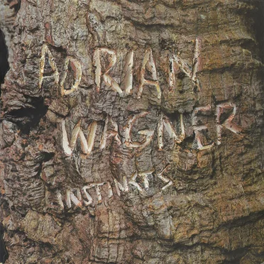 Instincts by Adrian Wagner - album cover