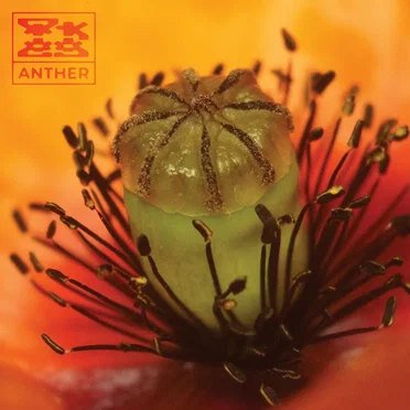 Anther