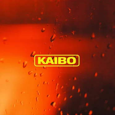 Kaibo