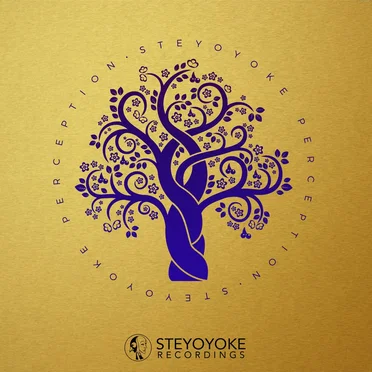 Steyoyoke Perception, Vol. 09 by Various Artists - album cover