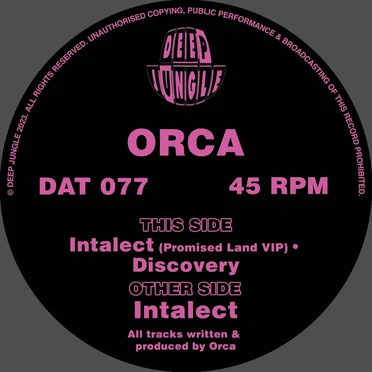 Intalect / Promised Land VIP / Discovery