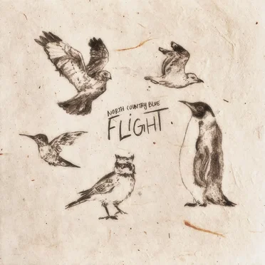 Flight