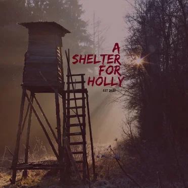 Gordon Cummins by A Shelter For Holly - album cover