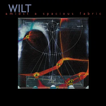 Amidst a Spacious Fabric