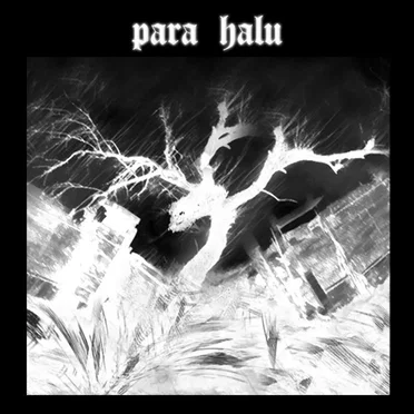 No Para Full Halu by Para Halu - album cover