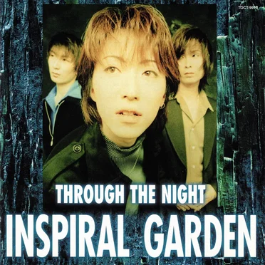 THROUGH THE NIGHT